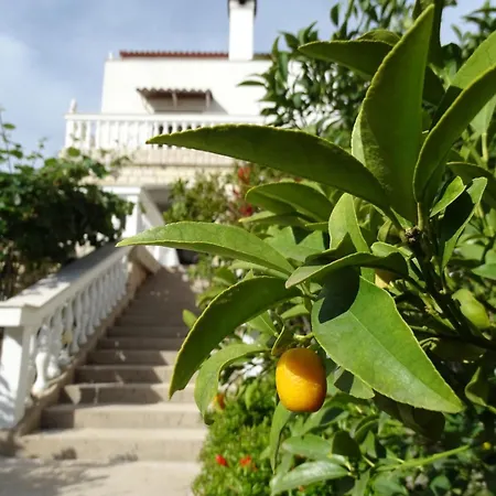 Vlahov By Interhome * Kozino