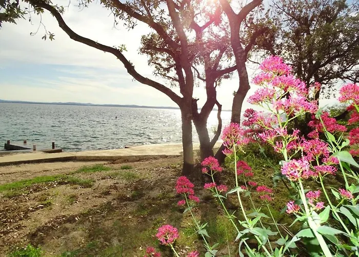 Apartman Vlahov By Interhome *