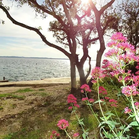 Apartmán Vlahov By Interhome *